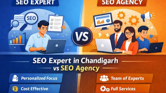 SEO EXPERTS V/S SEO AGENCY: